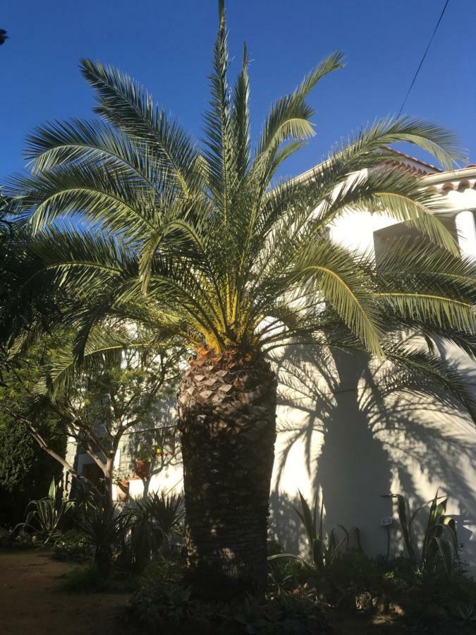Rez De Villa Pebrier Frejus Exterior photo